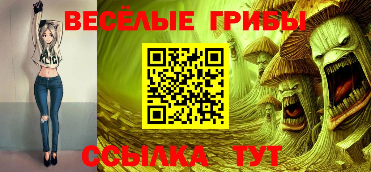 Псилоцибиновые грибы Cubensis Смоленск