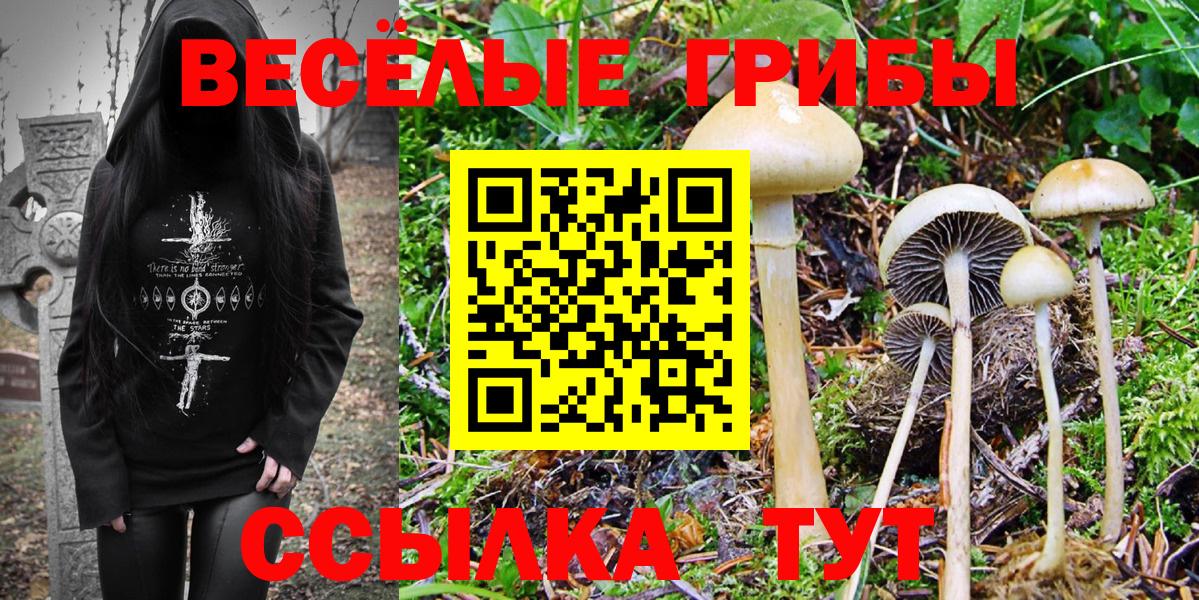 Галлюциногенные грибы Psilocybe  Вход с VPN  Смоленск 